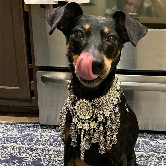 Meet your Posher, Andrea - Picture 8 of 9